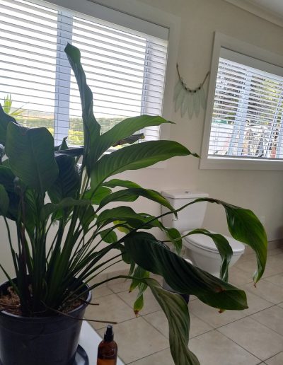 pearl-home-decor-auckland-2